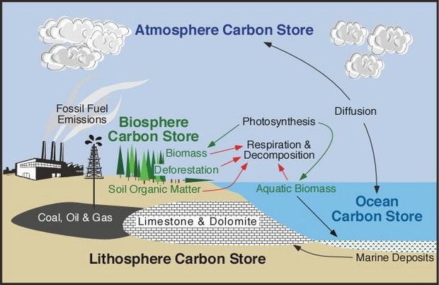 Carboncycle.jpg