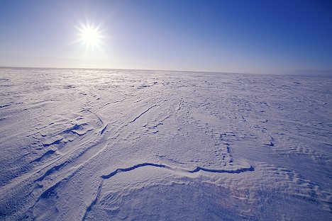 frozen-tundra_5591.jpg